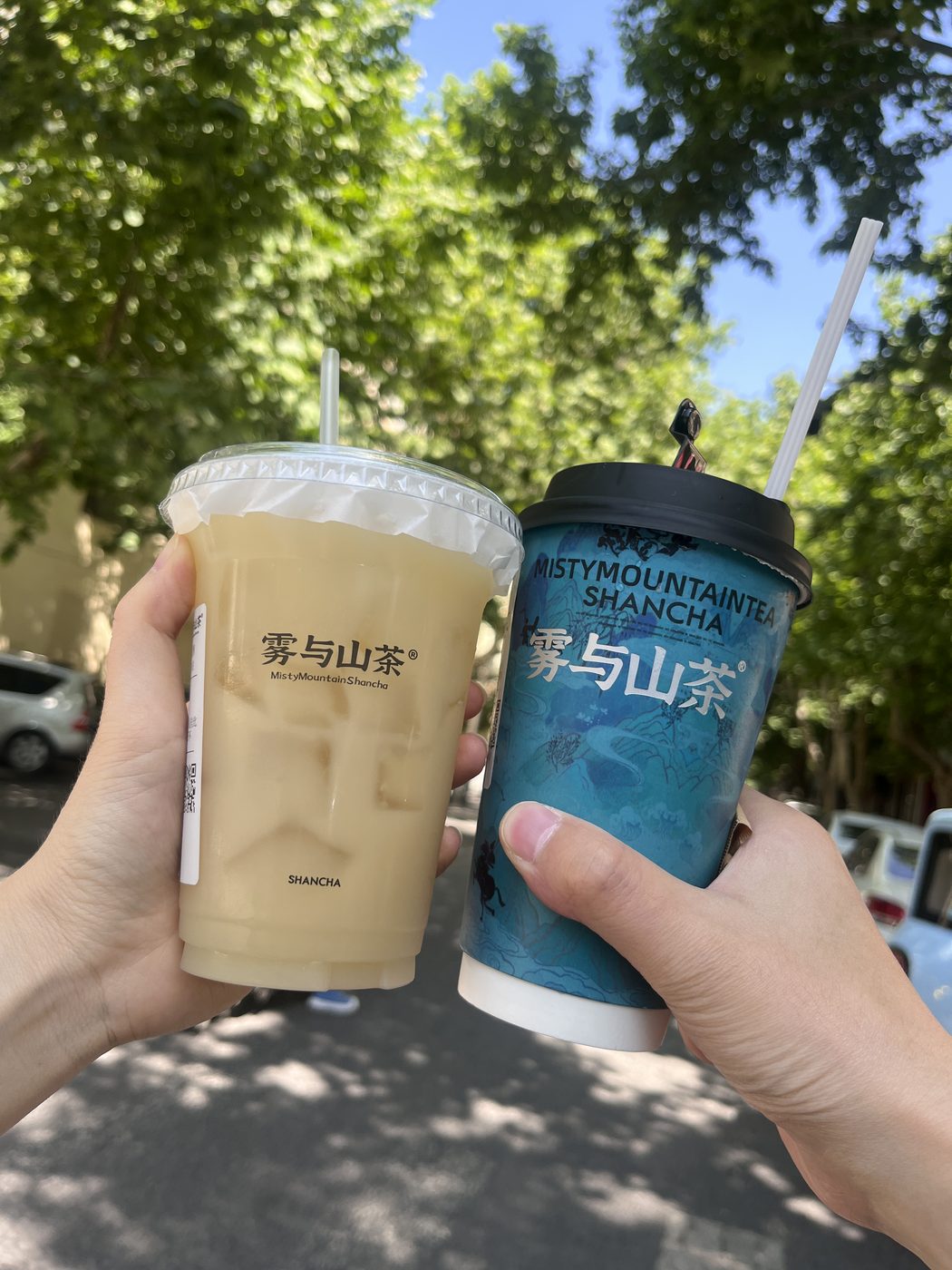 登封 · 雾与山茶 · 两杯奶茶碰一下